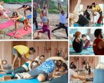 Complete Guide to Find the Best Online Physical Training and Yoga Teacher Programs