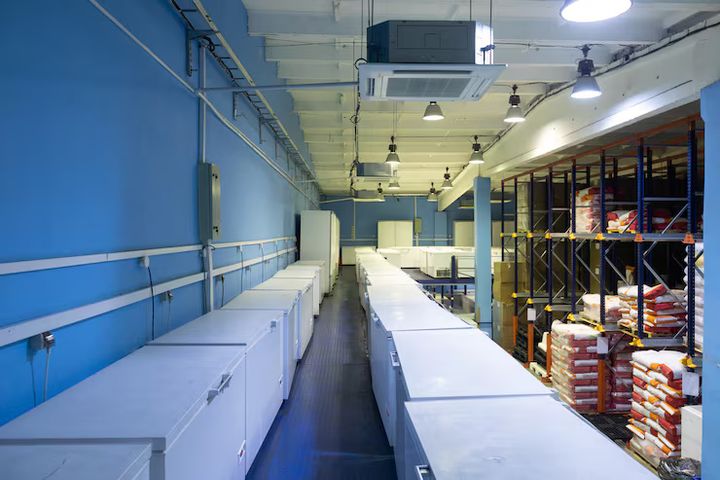 A Guide to Cold Storage Practices in Food Preservation